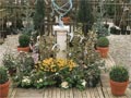 Где и как покупать растения Где и как покупать растения